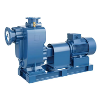 Самовсасывающий насос для загрязненной воды PURITY PZWM 50-18-22/2, 400В/50Гц